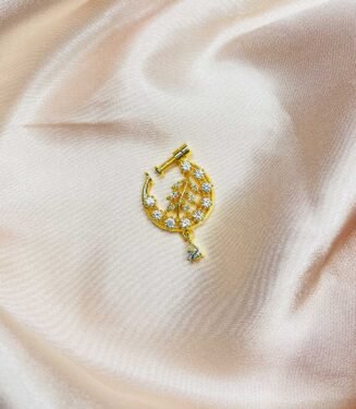 Traditional Screw Nose Ring