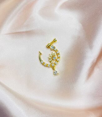 Traditional Beauty Screw Nose Ring