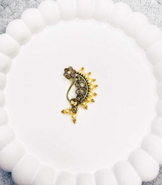 Festival Special Marathi Nath False