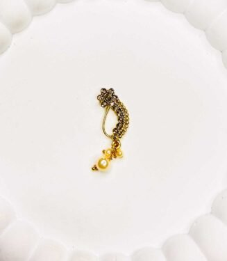 Festival Special Marathi Nath