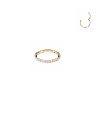 Titanium Nose Ring Hinge Clicker - Golden, 8mm