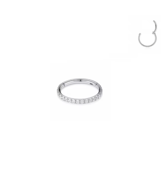 Titanium Nose Ring Hinge Clicker - Silver, 8mm