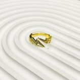 WhatsApp Image 2026-04-10 at 11.42.00 PM