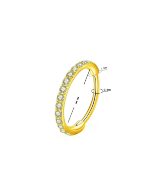 F136 Titanium Nose Ring Hinge Clicker - Golden, 6mm