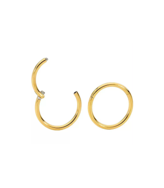 Surgical Stainless Steel Plain Nose Ring - Golden, 6mm